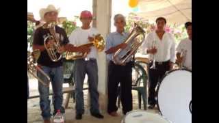 BANDA DE VIENTO SANTIAGO APOSTOL DE CHIPILA HUAUTLA HIDALGO 2
