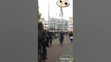 Rotterdam Moments: Beauty Everywhere #travel #rotterdam #shorts #viralvideo #holland #netherlands