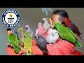 Most bird species in an aviary - Guinness World Records