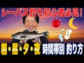 【朝・昼・夕・夜】時間帯別 シーバスの釣り方!時間帯別の戦略で攻略!オヌマンのシーバス塾