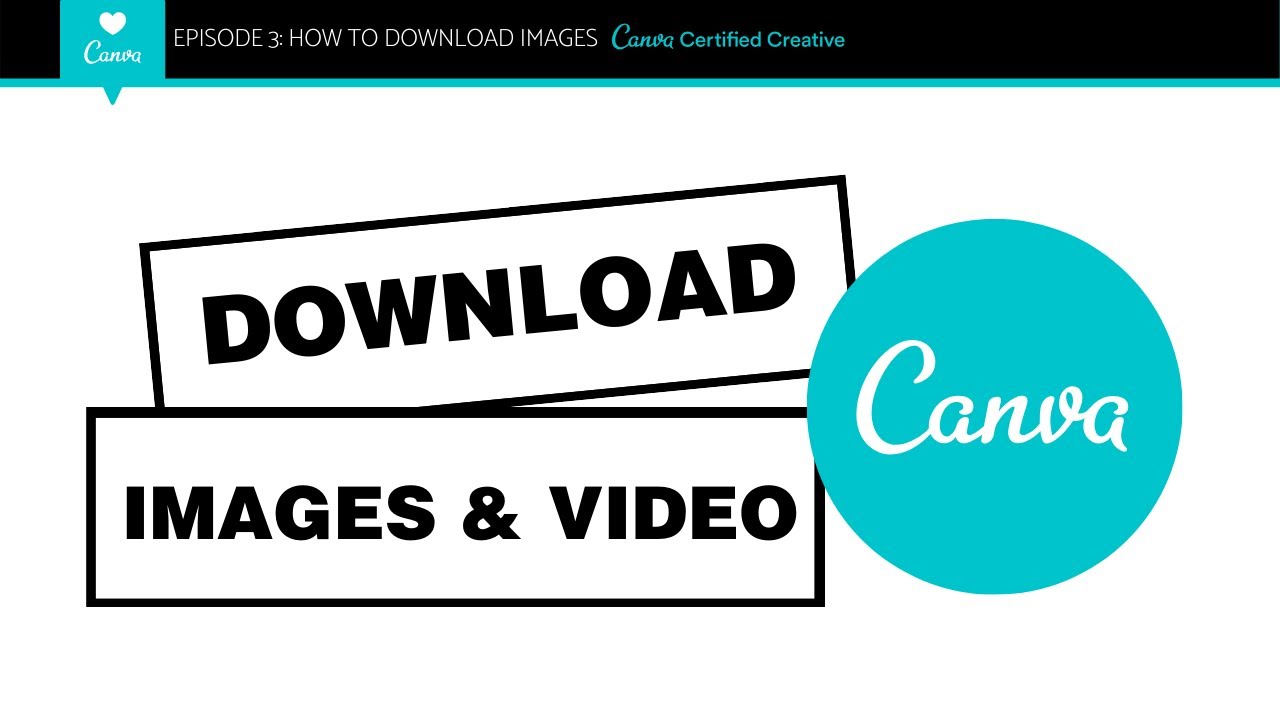 A Step-by-Step Guide on How to Download Canva Videos Separately in