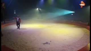 Отношения к животным и с животными на Западе Отношения к животным и с животными на Западе