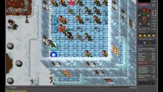 Tibia malvera