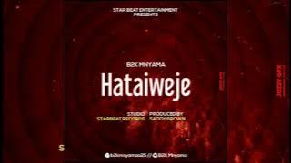 B2K_-_Hataiweje (official Audio )
