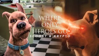 Scooby-Doo & Krypto || Where Only Heroes Go