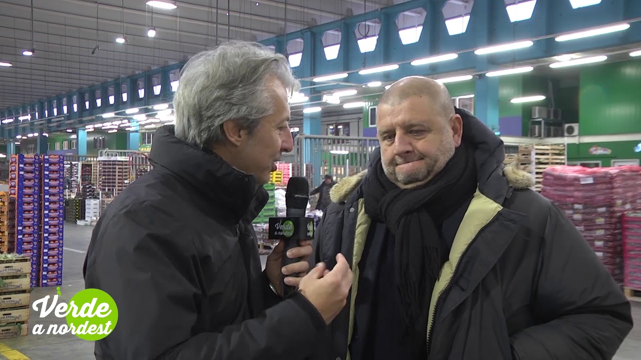 P1258 Padova Mercato Ortofrutticolo