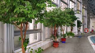 видео: 30 октября 2025 г. картинка: 30 октября 2025 г.