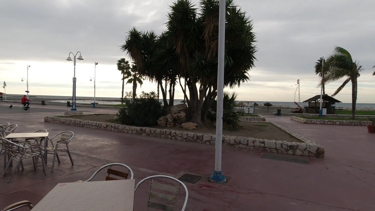 Суровое ветренное утро - YouTube