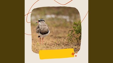 Modish Ambiance for Yearly Memories