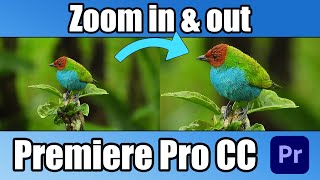 How to Zoom In and Out in Premiere Pro CC by R4GE VipeRzZ 69 views 2 months ago 3 minutes, 24 seconds