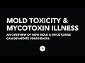 Mold Toxicity and Mycotoxin Illness - An Overview of How Mold & Mycotoxins Can Devastate Your Health