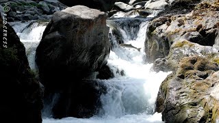Salmon Cascades | Sol Duc River