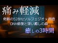 雨音を聴きながら無意識に痛みを軽減【３時間】軌跡の528Hzソルフェジオ × 雨音