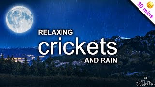 CRICKETS & SOFT RAIN | 30m Relaxing Night Ambience Nature Sounds | DIM Meditation ASMR for Nap