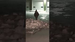Winter Blizzard in Wisconsin! Will we survive it?!