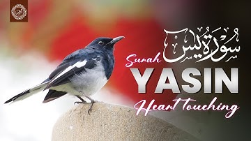 Surah Yasin (Yaseen) سورة يس | Relaxing heart touching voice | AR Rahman