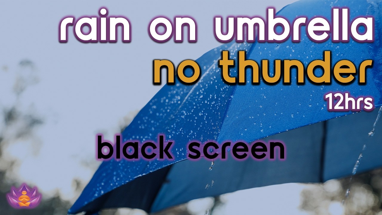 [Black Screen] Cozy Rain on Umbrella – No Thunder | Soothing Rain Sounds for Sleeping & Relaxation