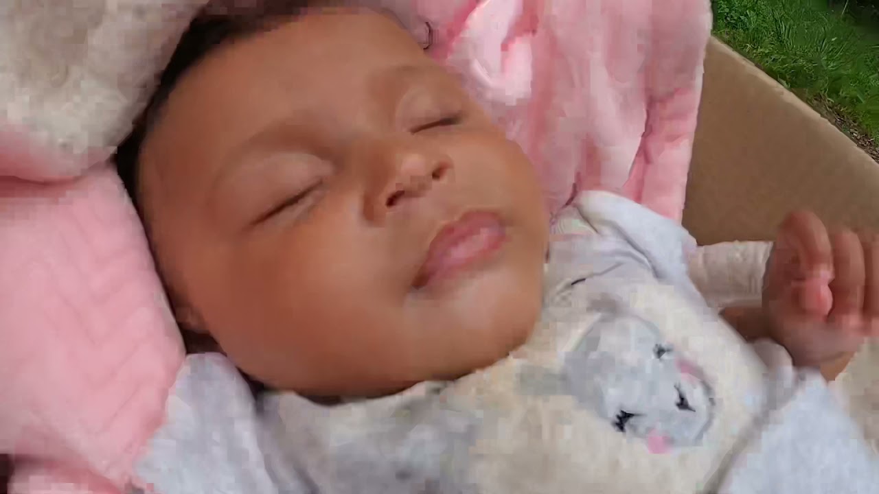 Boondocking #1: Monongahela National Forest (Virginia)