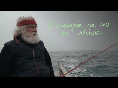 L'araignée de mer du pêcheur