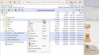 AjaxBrowser 2010 01 new demo.mp4