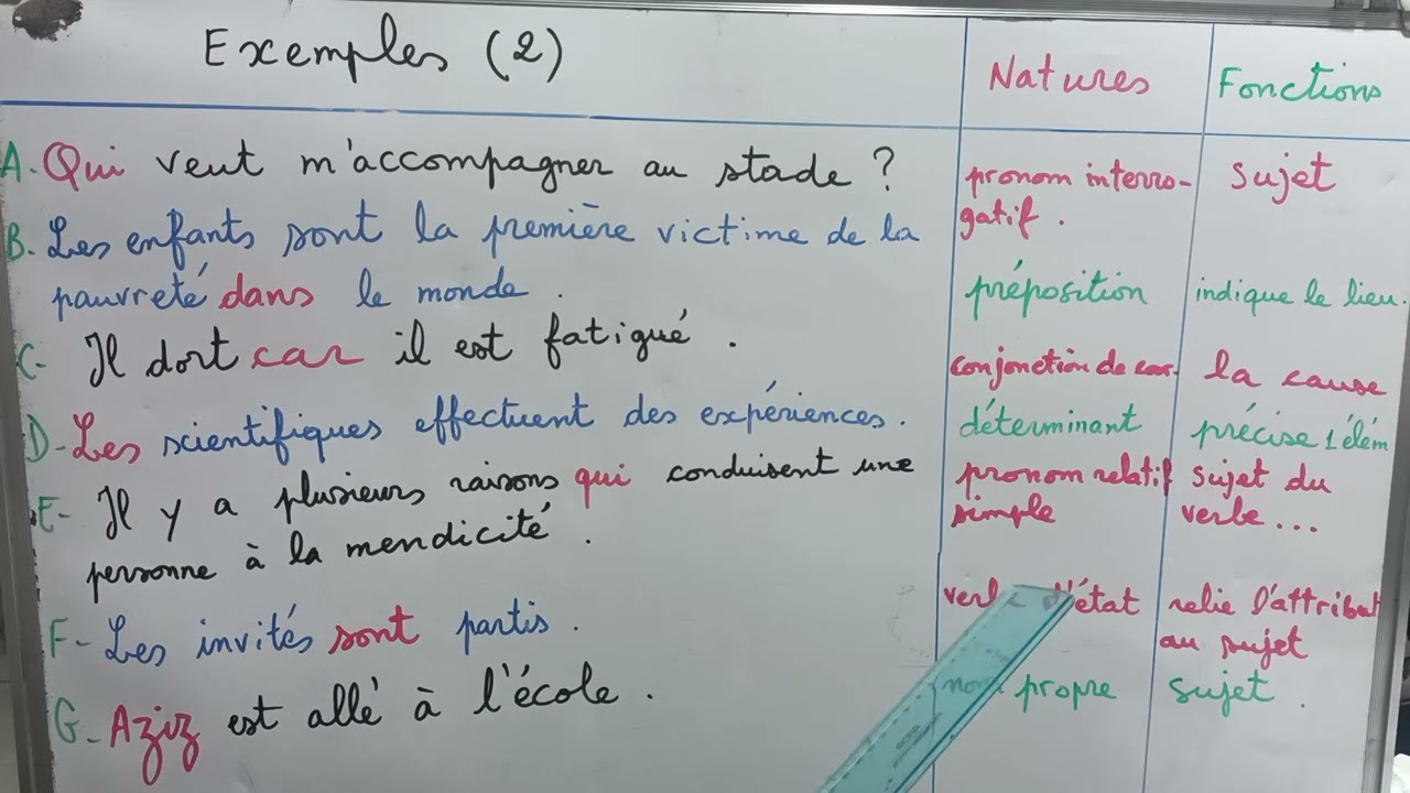 Des natures et Des fonctions ( 2 )