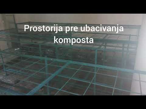 Video: Kuidas šampinjone Korralikult Koorida