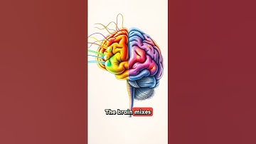 How Do We See Colors? The Science Explained! #shorts