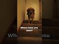 Where have you been?
