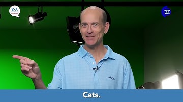 English in a Minute Go Viral