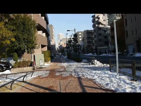 西池袋通り（補助第172号線）