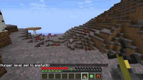 Minecraft Mod - The Hungry Mod