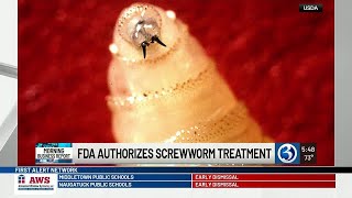 MORNING BUSINESS REPORT: FDA authorizes emergency treatment for pet screw-worm as SpaceX goes pub... @WFSB