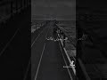 اغنيه تيجي انا وانتي نرقص رقصه البتريق