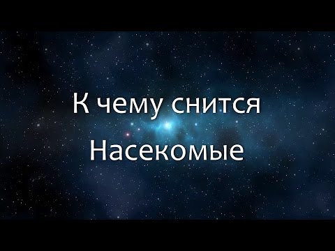 К чему снится Насекомые (Сонник, Толкование снов)