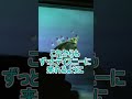 タートルトークでプロポーズする男性現る【タートルトーク】東京ディズニーシー#Shorts