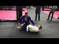 How Renzo Gracie deals with the knee shield half guard