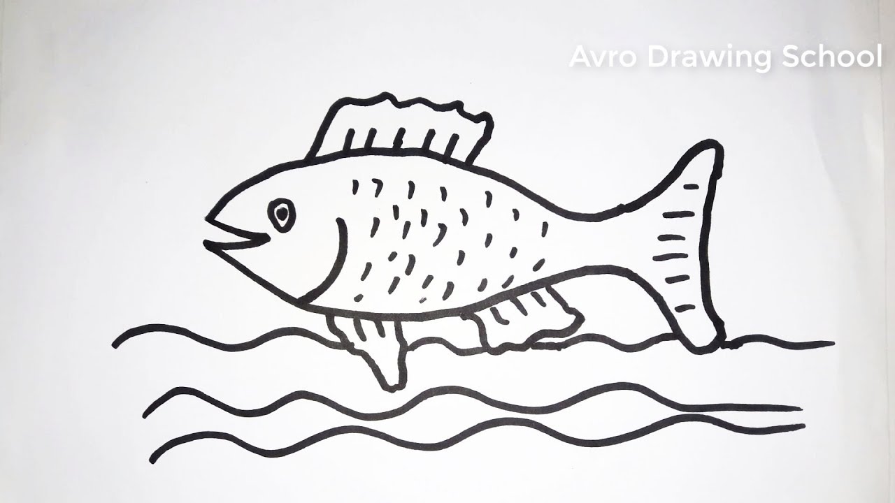 How to Draw a Fish by Marker Pen 
