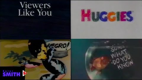 PTV Park Program Break #2 (KCET-TV 1997) Incomplete