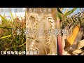 【高校地理】5-6. 世界の三大穀物(コメ、小麦、トウモロコシ) | 5. 世界の農林水産業【解説動画】
