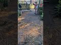 That was tough!!! Gardening That Is Visible!