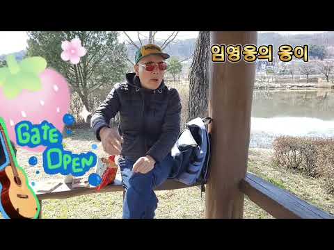 #임영웅#옹이#커버곡#미스터트롯2 #미스터미스터 #미스미스터트롯 #트로트 #트롯 #kpop #노래   뮤직헌터