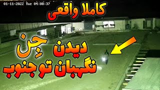 ویدیو ارسالی از نگهبان پرورش شترمرغ  تو جنوب که جن رو نشون میده(کاملا واقعی) 12تا ویدیو ترسناک جدید