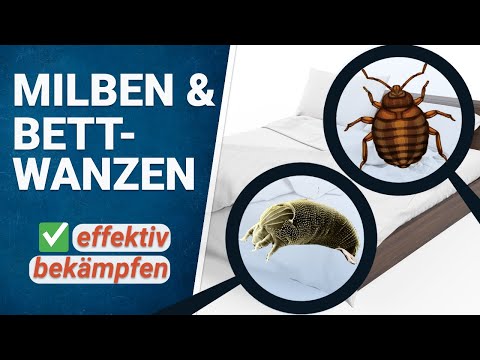 Video: Mehlmilbe: Beschreibung, Lebensräume, Bekämpfungsmöglichkeiten