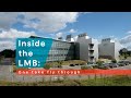 Inside the lmb  one take fly through