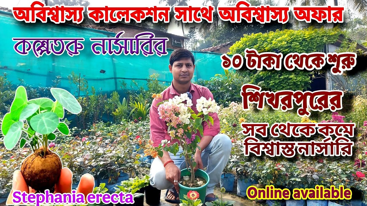 স্পেশাল অফার এর সাথে মনের মত ফুল ও ইনডোর গাছ পাবেন এখানে /শিখরপুরে কল্পতরু নার্সারি / Nursery Visit