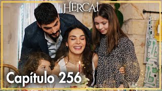 Hercai - Capítulo 256