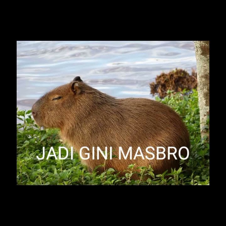 Percakapan Absurd Masbro... #shorts #meme #memeviral