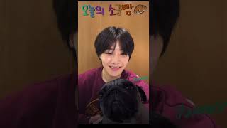 [스트레이 키즈/ 아이엔] “슼플릭스 봤냐구요?” 인스타라이브 231106