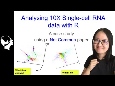 How to analyze 10X Single Cell RNA-seq data with R| Seurat Package Tutorial