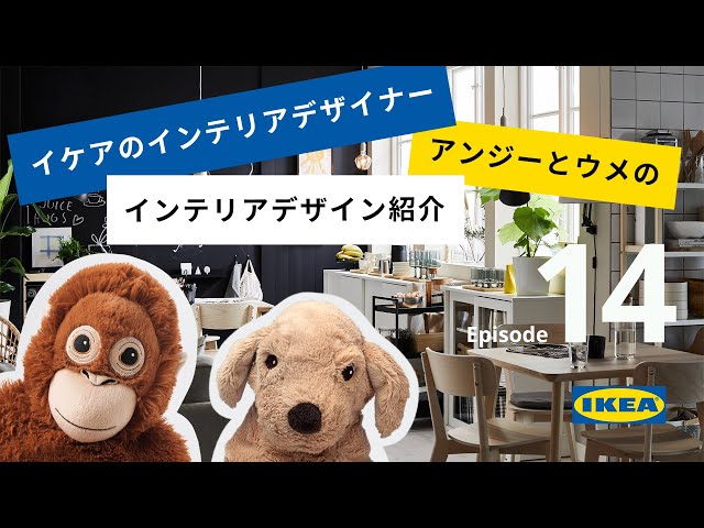Tidy up with convenient IKEA items! [Closet, storage, and clothing